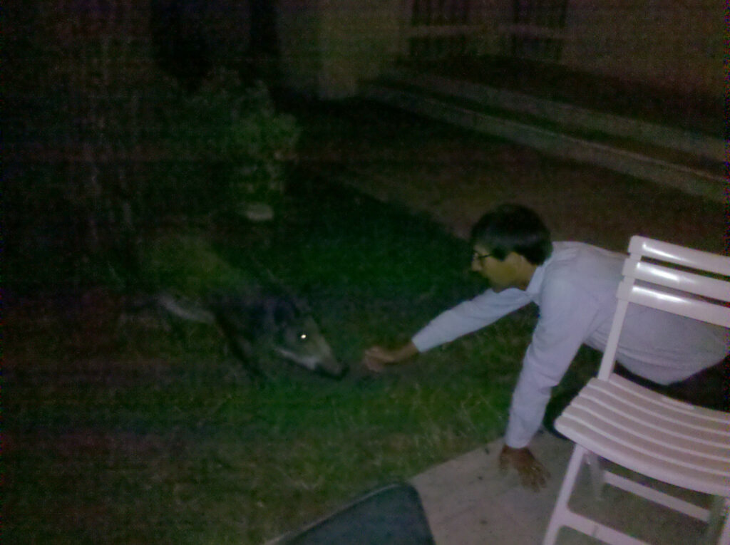 André Fortino, photographie