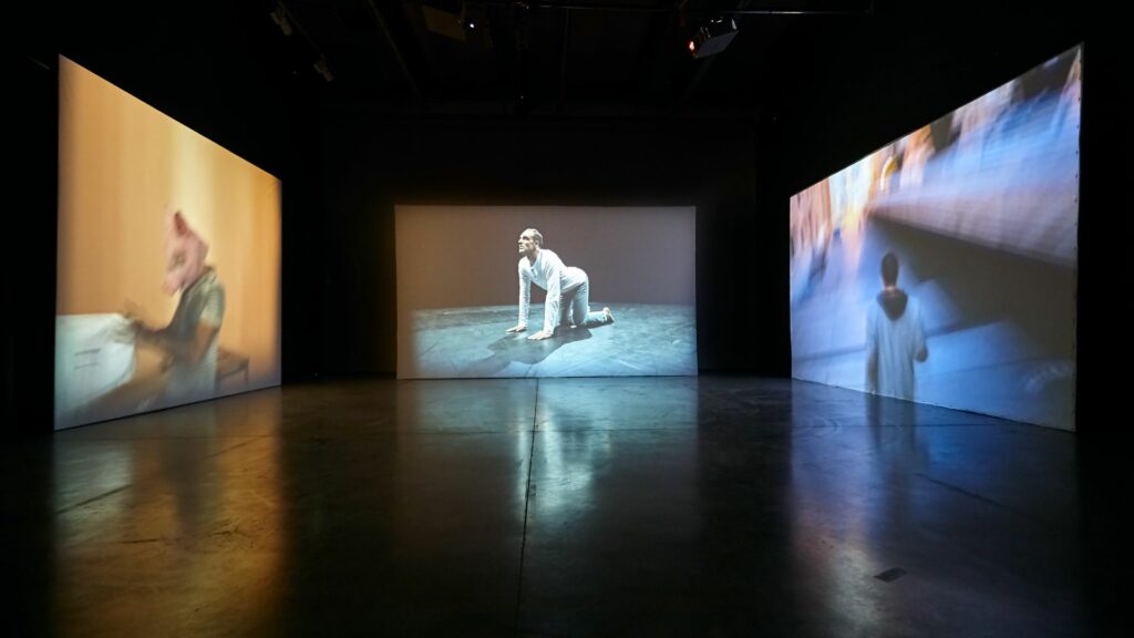 André Fortino, hôtel Formes Sauvages, vidéo