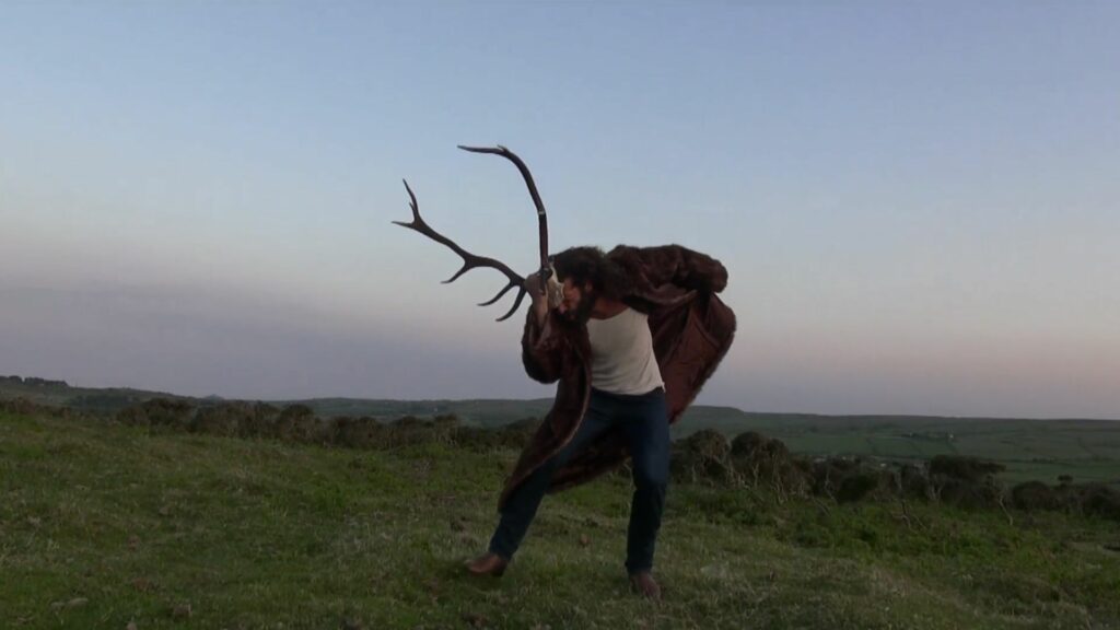 André Fortino, la grammaire fauve, vidéo